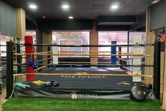 Imagem 1 da galeria do parceiro The Palace Boxing Club