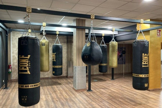 Imagem 2 da galeria do parceiro The Palace Boxing Club