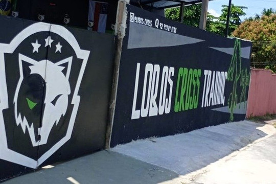 Imagem 2 da galeria do parceiro Lobos Cross Training