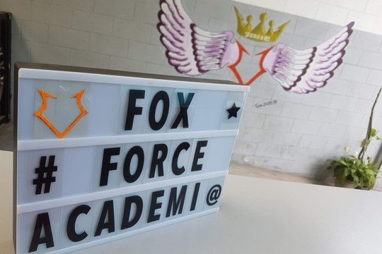Imagem 8 da galeria do parceiro Academia Fox Force
