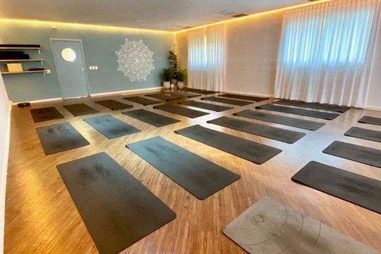 Imagem 1 da galeria do parceiro Awake Yoga