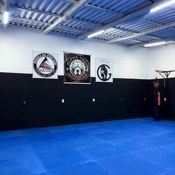 Imagem 2 da galeria do parceiro Alpha Team Academia