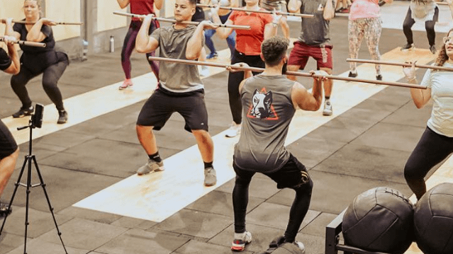 Imagem 1 da galeria do parceiro DogyBox