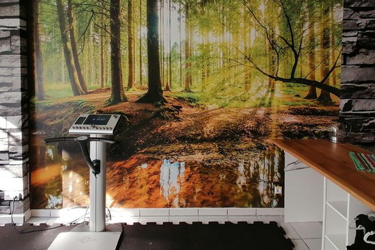 Bild 1 von BlitzFit e.K. EMS Fitnessstudio Partnergalerie