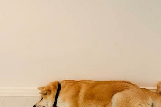 Bild 3 von KIM x YOU Partnergalerie