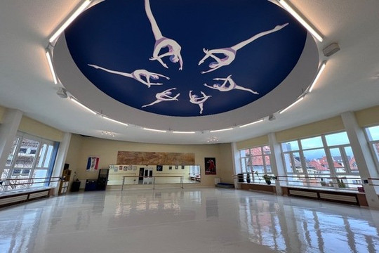 Bild 1 von Ballettstudio Performance Partnergalerie