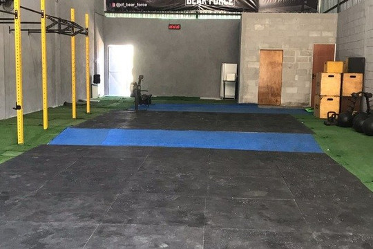 Imagem 3 da galeria do parceiro CF BEAR FORCE