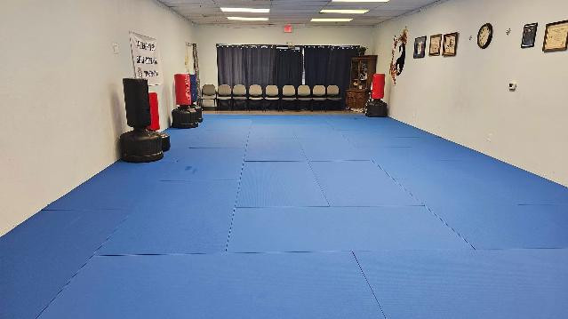 Image 1 from Integrated Self-Defense partner gallery