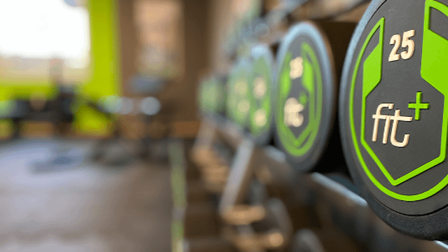 Bild 1 von fit+ Brandis Partnergalerie