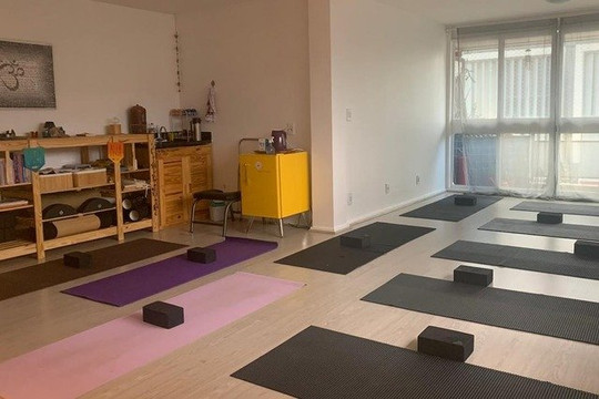 Imagem 1 da galeria do parceiro Alapadma Yoga