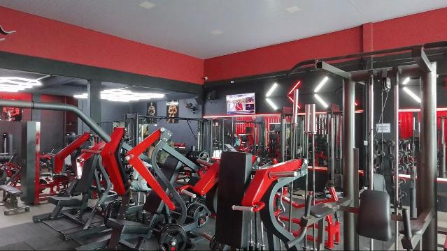 Imagem 3 da galeria do parceiro SS FORMA