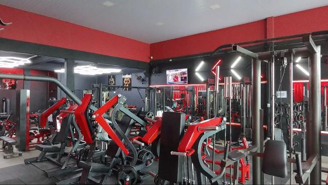 Imagem 1 da galeria do parceiro SS FORMA