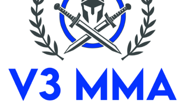 Image 3 from V3 MMA Gym & Fitness partner gallery