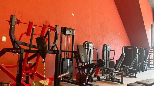 Imagem 3 da galeria do parceiro Alpha AC Oliveira