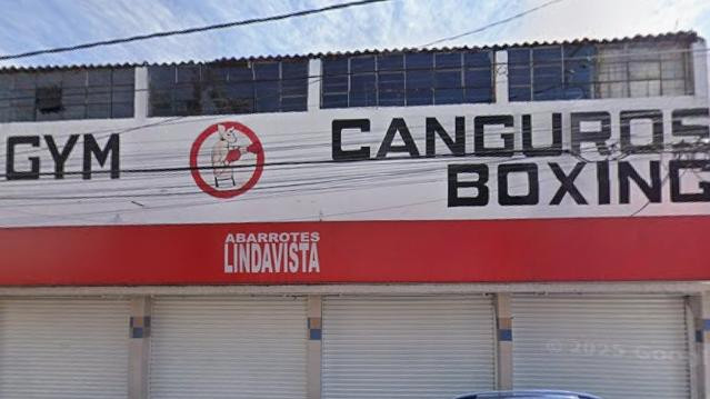 Imagen 2 de la galería del partner Canguros Boxing Lindavista