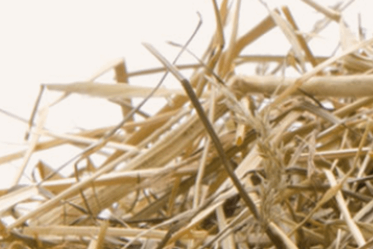 Bild 2 von YOGA im Kuhstall Partnergalerie