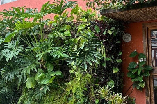 Imagem 2 da galeria do parceiro Canto da Alma