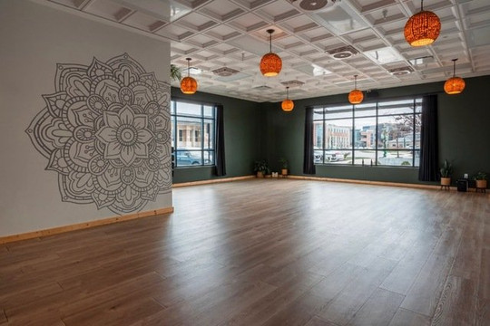 Image 3 from Prana Yoga & Wellness partner gallery