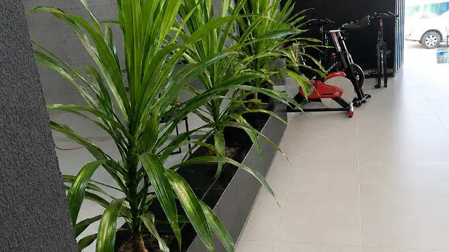 Imagem 3 da galeria do parceiro Profit Senador Canedo
