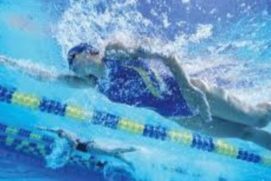 Immagine 3 dalla galleria del partner Aquamore Villafranca