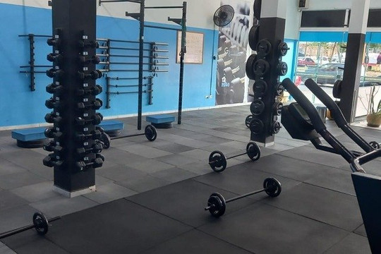 Imagem 1 da galeria do parceiro Método Guerick Richard - Castro