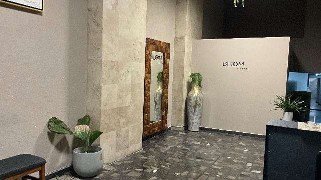 Imagen 2 de la galería del partner Bloom Studio