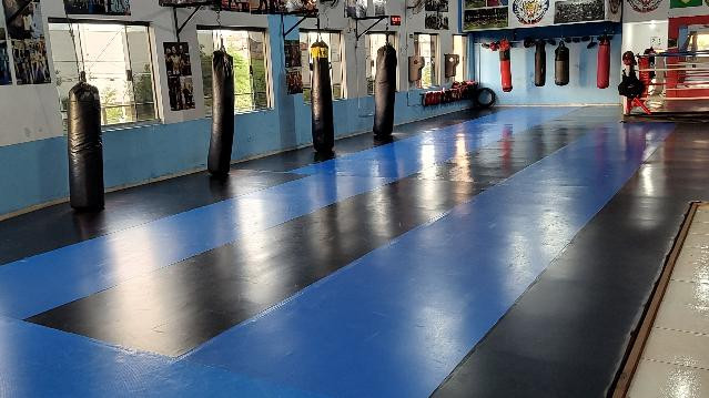 Imagem 1 da galeria do parceiro Krav Maga/ Defesa Pessoal - Cássia Zarelli