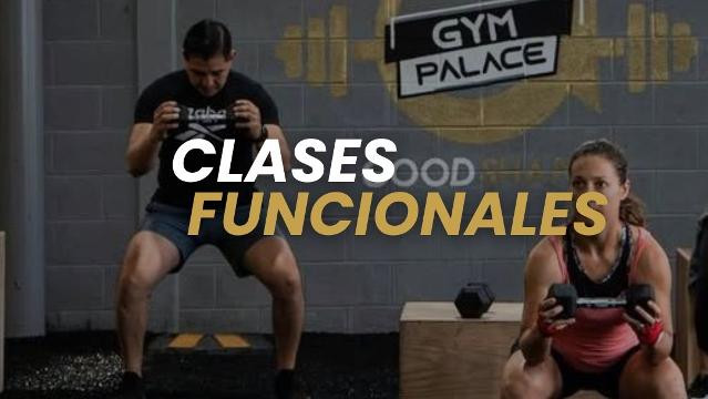 Imagen 1 de la galería del partner Good Shape Niño Artillero