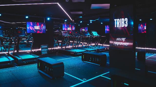 Imagen 1 de la galería del partner Trib3 Chamberí