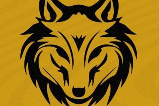 Imagem 1 da galeria do parceiro Team Wolves Sports