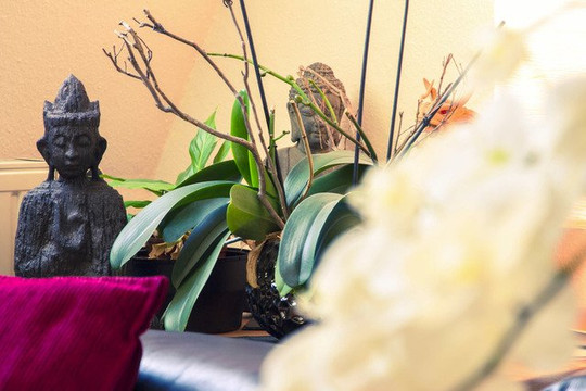 Bild 2 von Zhen Wu Berlin Partnergalerie