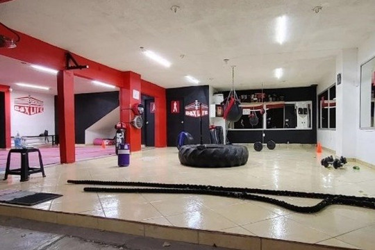 Imagen 1 de la galería del partner Chino Box Life