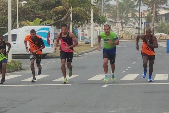 Imagem 2 da galeria do parceiro Brutos de Stella