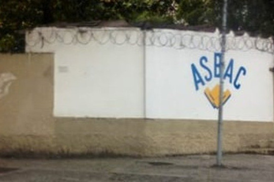 Imagem 2 da galeria do parceiro Escolinha Cortada