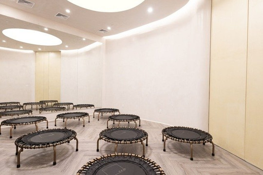 Image 1 from The Ness partner gallery