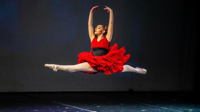 Imagem 1 da galeria do parceiro Studio de Dança Lana Mello