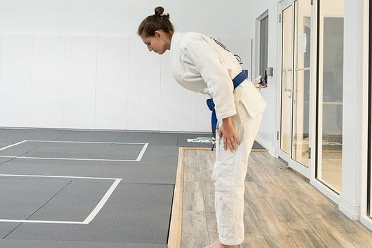 Image 1 from Marcus Aurelio Jiu Jitsu Academy partner gallery