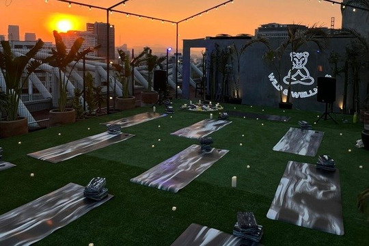 Imagen 2 de la galería del partner Wild & Wellness