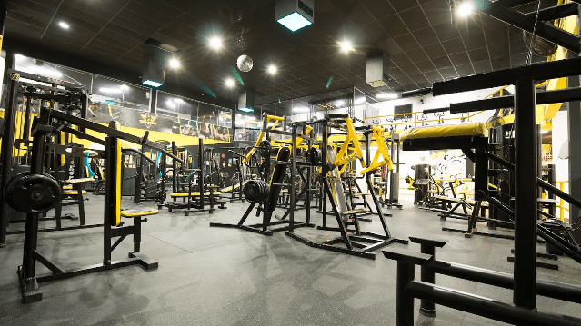 Imagem 1 da galeria do parceiro Top Training Musculação