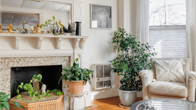 Image 2 from Shiva Shakti Yoga Center partner gallery