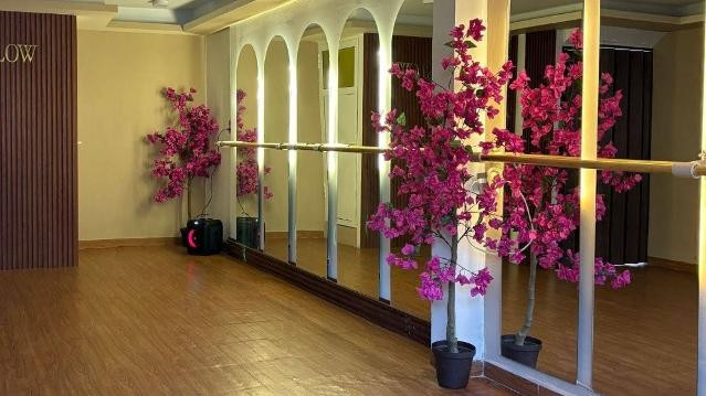 Imagen 1 de la galería del partner Fis Glow