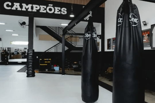 Imagem 3 da galeria do parceiro Teixeira Team