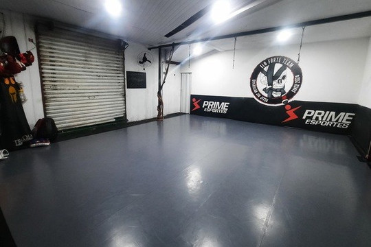 Imagem 1 da galeria do parceiro ELO FORTE TEAM