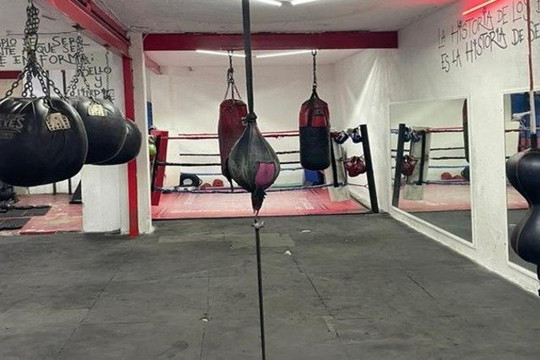 Imagen 2 de la galería del partner ERG BOXING CLUB