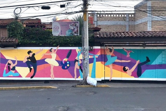 Imagen 2 de la galería del partner Centro Cultural Calacoaya