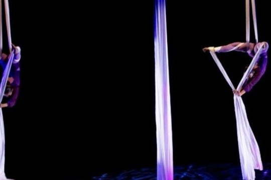 Imagen 3 de la galería del partner Centro Cultural Calacoaya