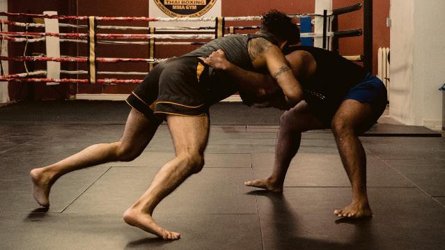 Image 1 from BLACK LION THAI BOXING & MMA partner gallery