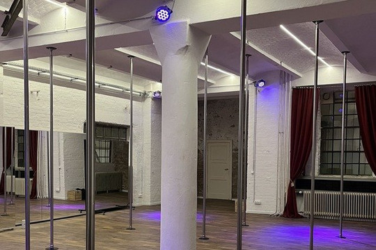 Bild 1 von Pole Artzzz - Pole Dance in Berlin Partnergalerie