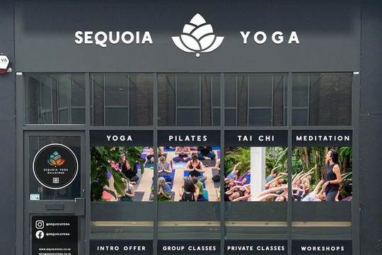 Image 2 from Sequoia Yoga partner gallery