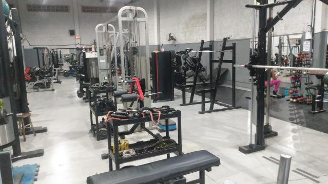 Imagem 1 da galeria do parceiro Mount Olympus Academia